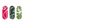 logo richflor