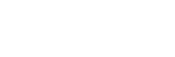 Client ville de Lyon