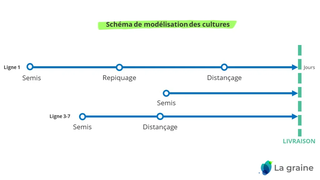 schéma de modélisation des cultures de végétaux