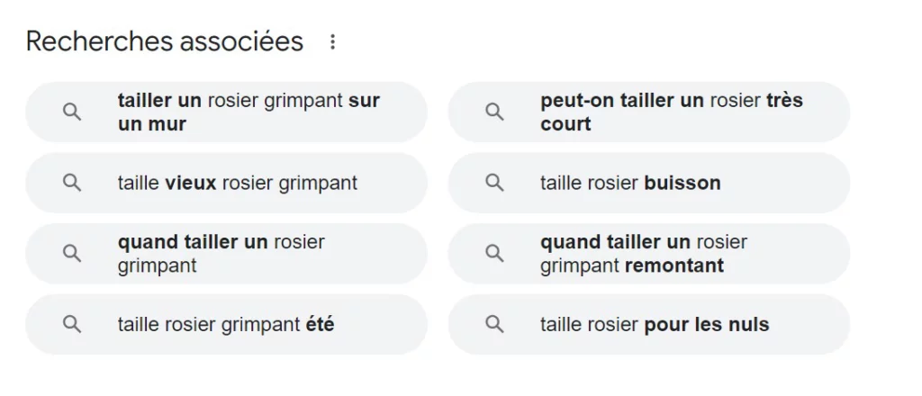 Recherches associées dans Google pour "taille rosier"