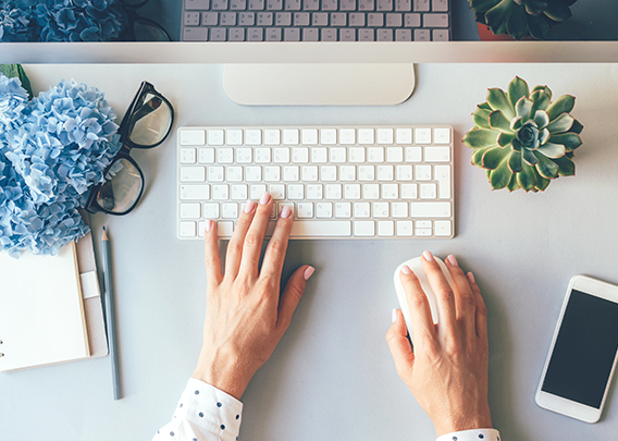 les techniques pour faire décoller son site de vente de plantes